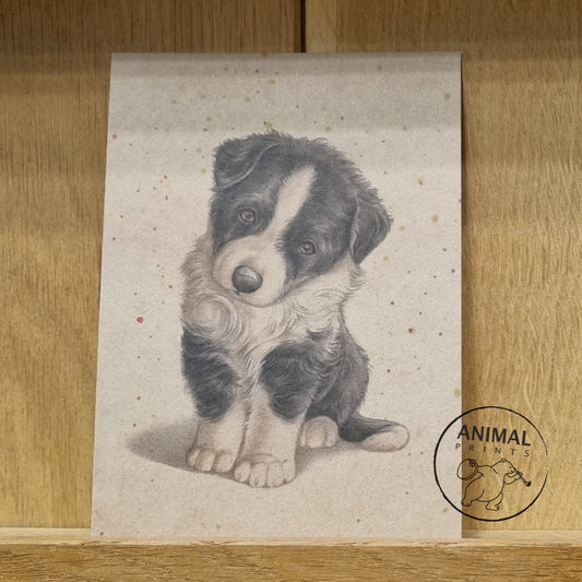 Kraftkaart A6 formaat (ansichtkaart) - kaart nummer 1 - Border Collie (per 5 stuks)