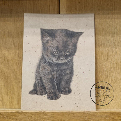 Kraftkarte im A6-Format (Postkarte) – Kartennummer 9 – Schwarzes Kätzchen (pro 5 Stück)