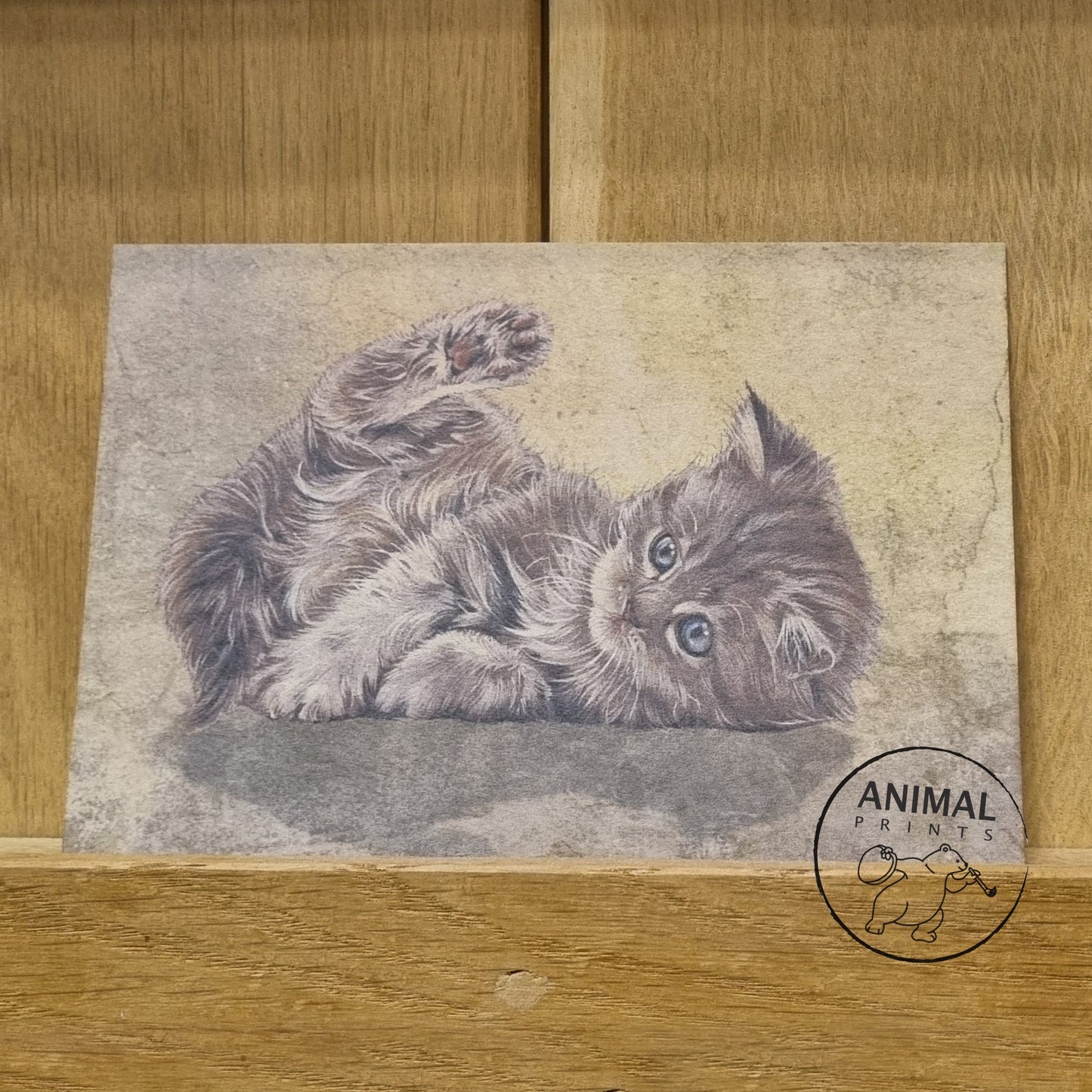 Kraftkaart A6 formaat (ansichtkaart) - kaart nummer 10 - Liggend kitten