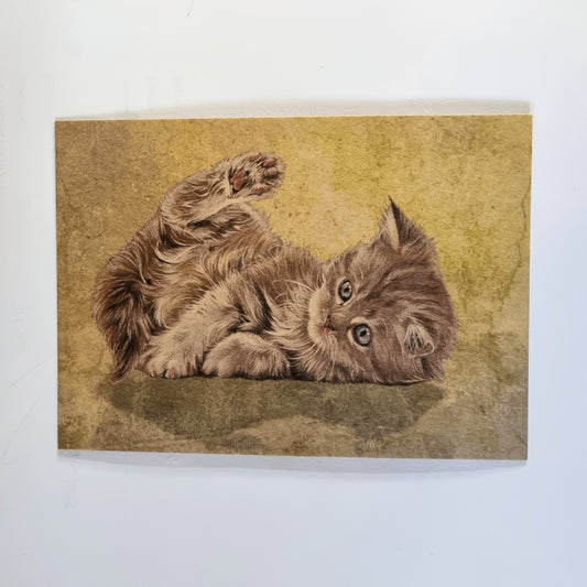 Kraftkaart A6 formaat (ansichtkaart) - kaart nummer 10 - Liggend kitten (per 5 stuks)