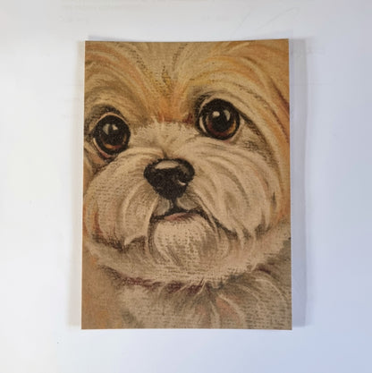 Kraftkaart A6 formaat (ansichtkaart) - kaart nummer 16 - Boomer (per 5 stuks)