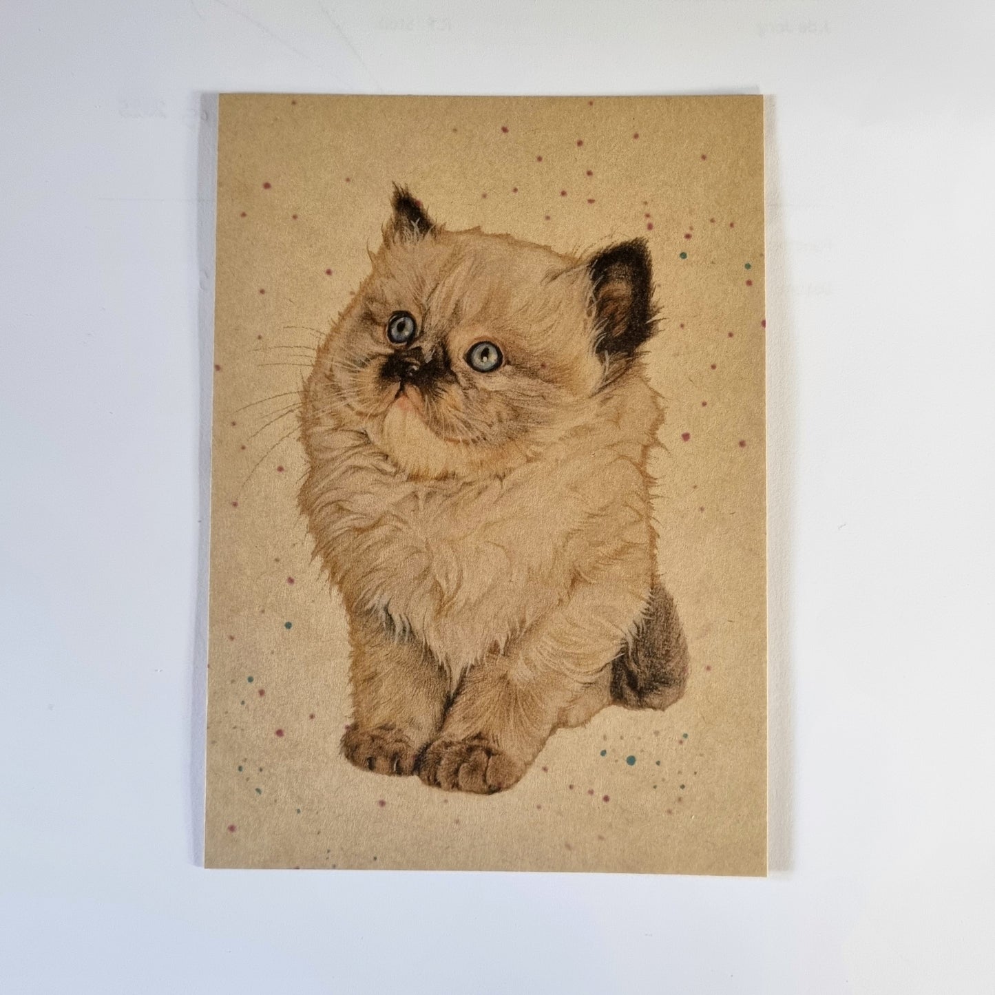 Kraftkaart A6 formaat (ansichtkaart) - kaart nummer 7 (per 5 stuks)