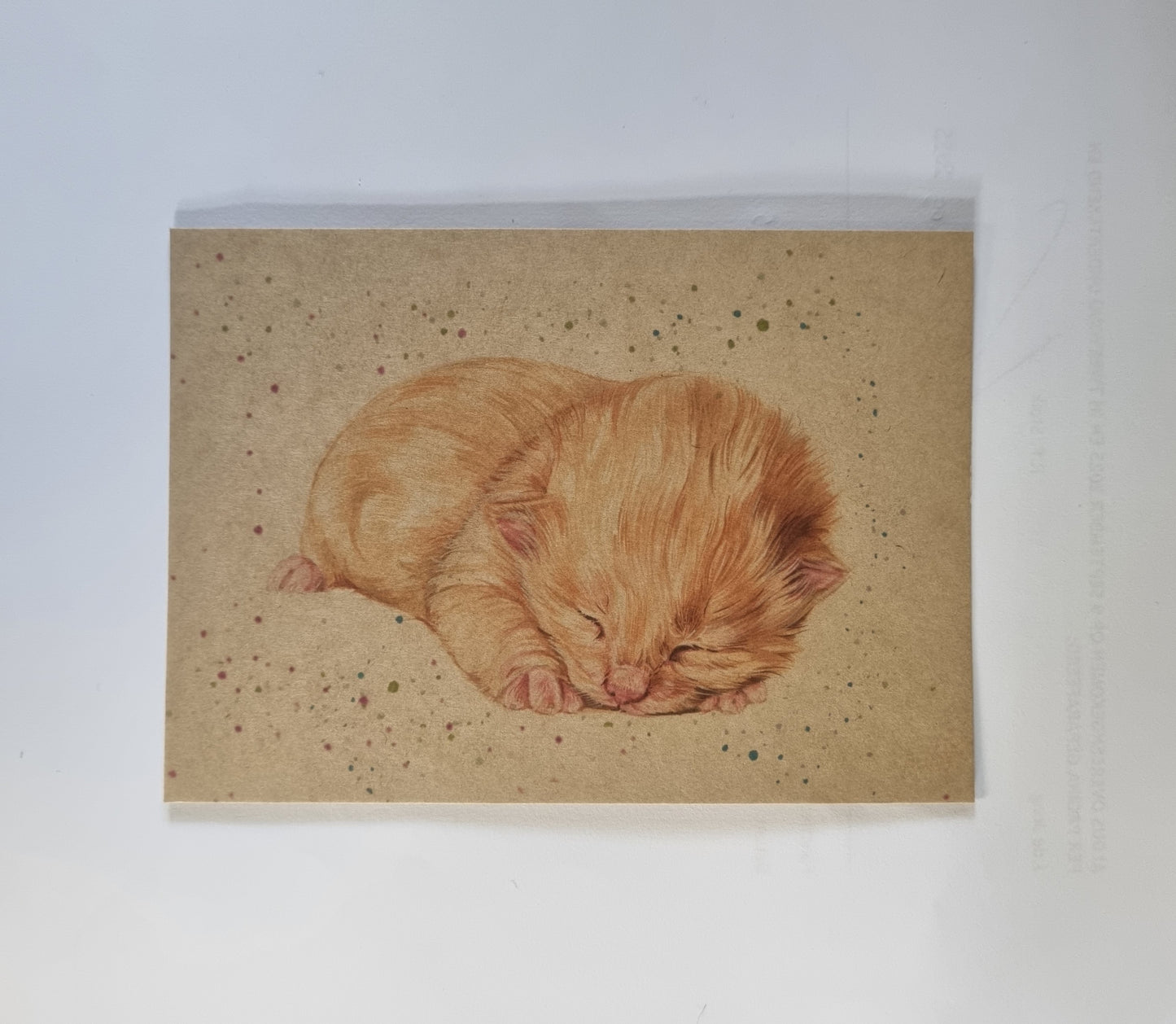 Kraftkaart A6 formaat (ansichtkaart) - kaart nummer 8 - Kitten rood (per 5 stuks)