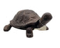 Gietijzeren schildpad
