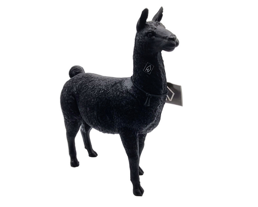 Beeld van Alpaca