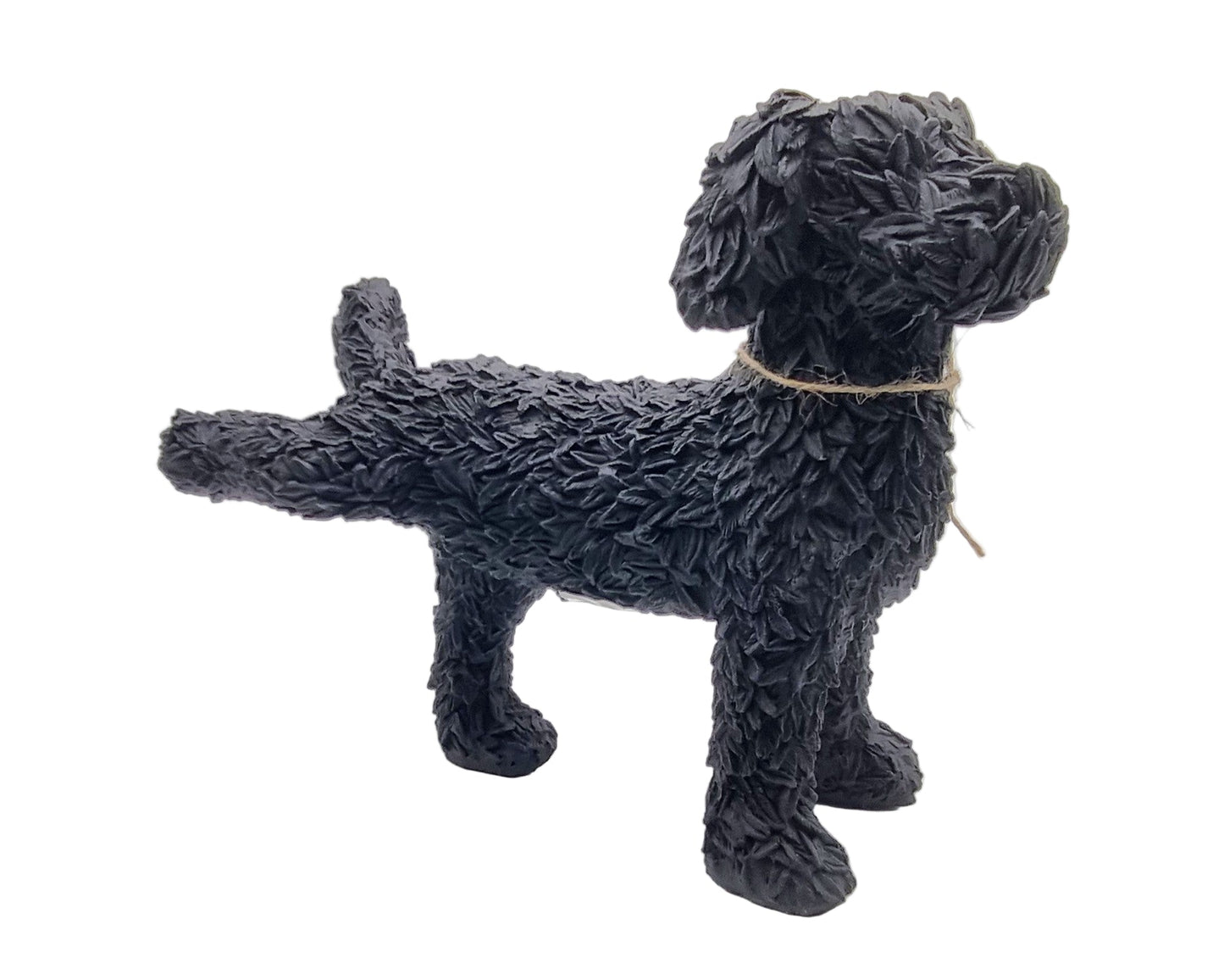 Plassende labradoodle