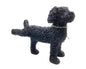Plassende labradoodle