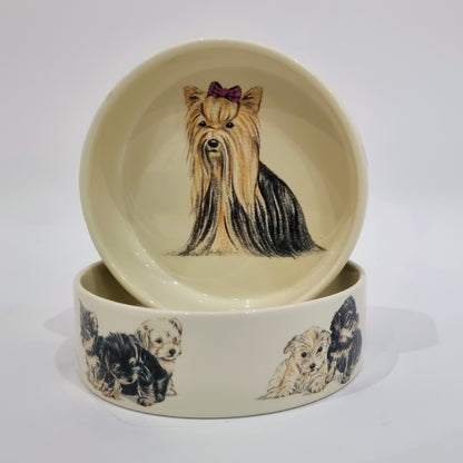 Feeding bowl Yorkshire Terrier