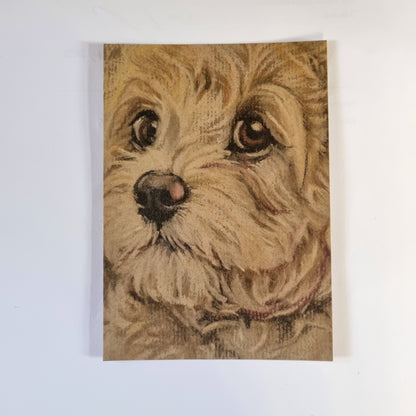 Kraftkaart A6 formaat (ansichtkaart) - kaart nummer 14 - Labradoodle (per 5 stuks)