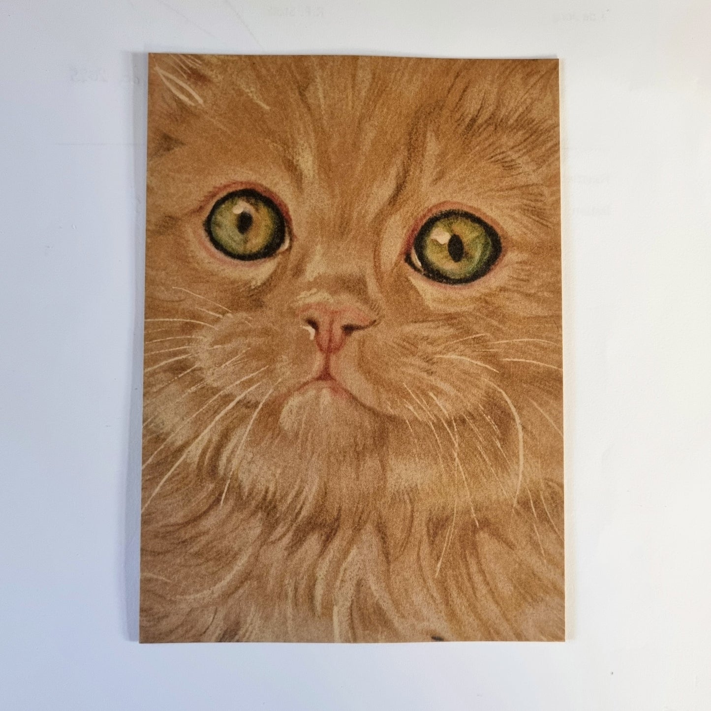 Kraftkaart A6 formaat (ansichtkaart) - kaart nummer 24 - Rode kat /  (per 5 stuks)