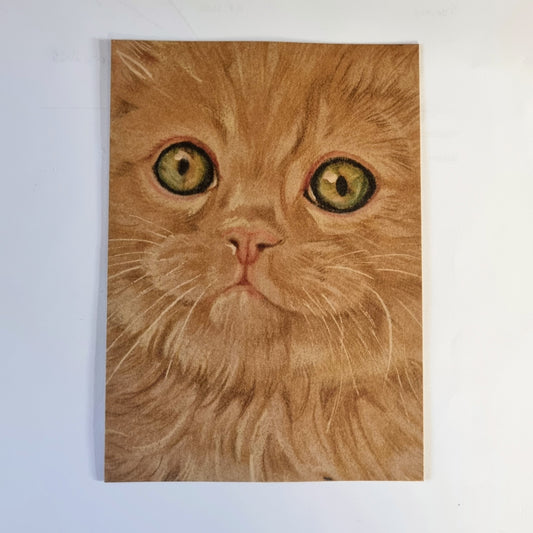 Kraftkaart A6 formaat (ansichtkaart) - kaart nummer 24 - Rode kat /  (per 5 stuks)