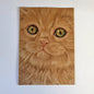 Kraftkarte im A6-Format (Postkarte) - Kartennummer 24 - Rote Katze / (pro 5 Stück)