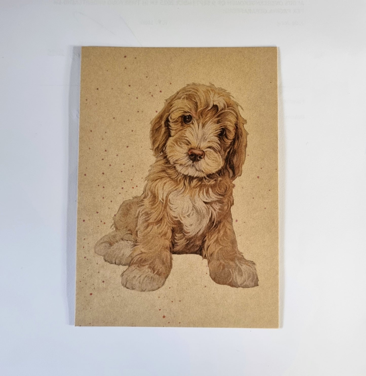 Kraftkaart A6 formaat (ansichtkaart) - kaart nummer 3 - Labradoodle (per 5 stuks)