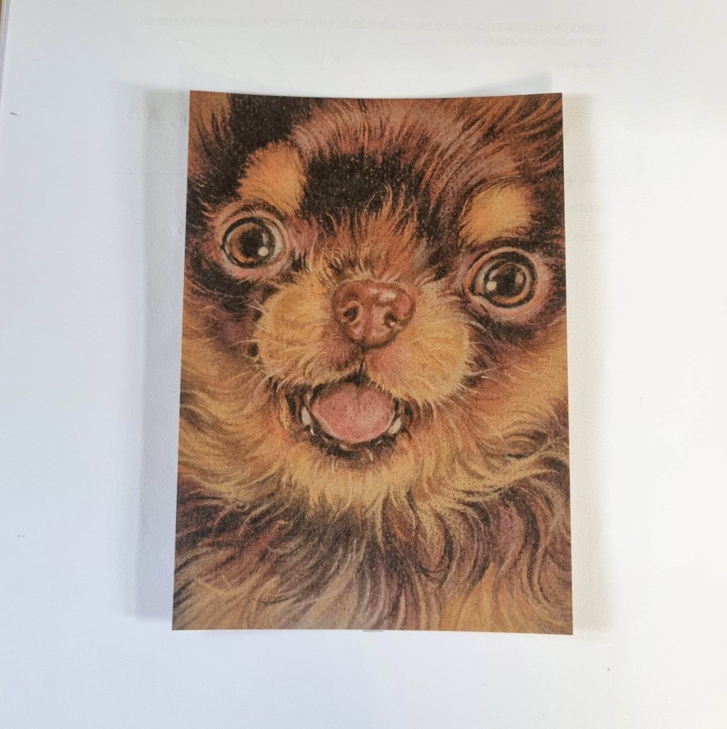 Kraftkaart A6 formaat (ansichtkaart) - kaart nummer 13 - Chihuahua (per 5 stuks)