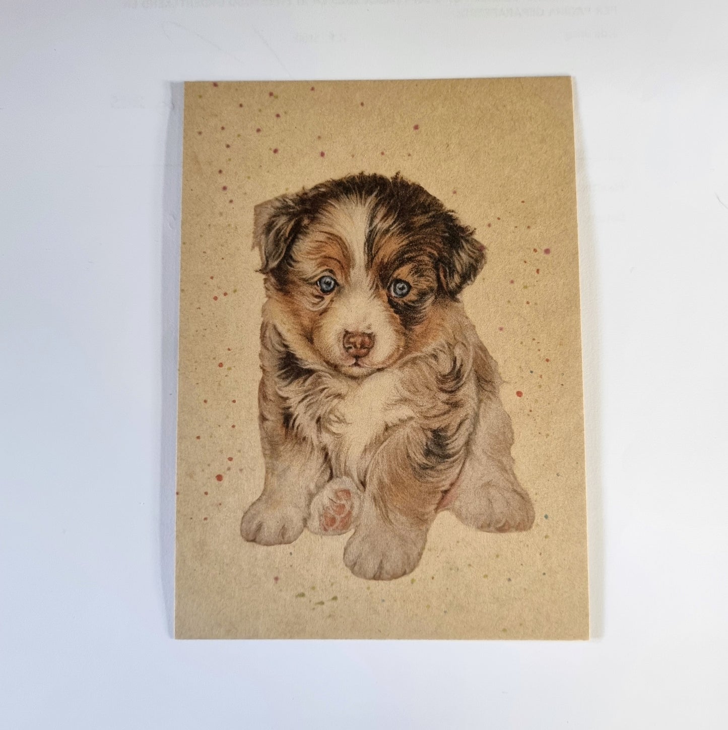 Kraftkarte im A6-Format (Postkarte) - Kartennummer 5 - Australian Shepherd-Welpe (pro 5 Stück)