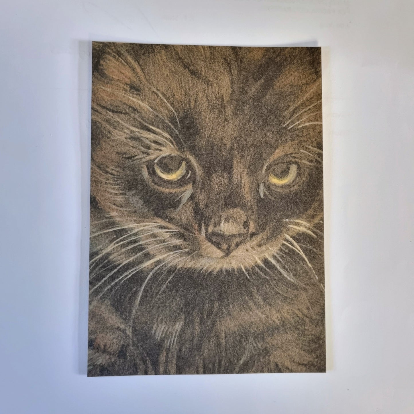Kraftkaart A6 formaat (ansichtkaart) - kaart nummer 22 - Zwarte Kitten (per 5 stuks)