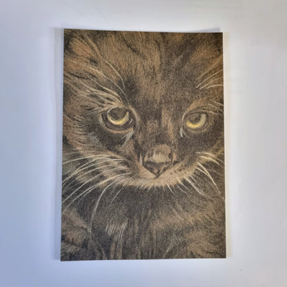 Kraftkaart A6 formaat (ansichtkaart) - kaart nummer 22 - Zwarte Kitten (per 5 stuks)