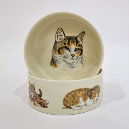 Katzenfutternapf-Design 1