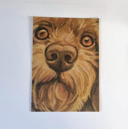 Kraftkaart A6 formaat (ansichtkaart) - kaart nummer 18 - Teckel/ Dachshund (per 5 stuks)