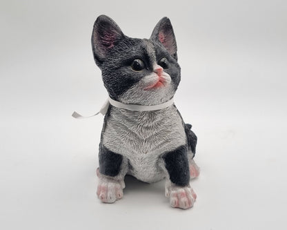 Kattenbeeldje - Zwart witte kat / kitten