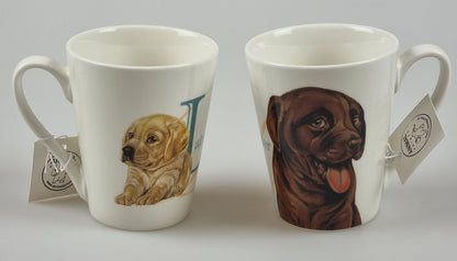 Mok Labrador - New collection