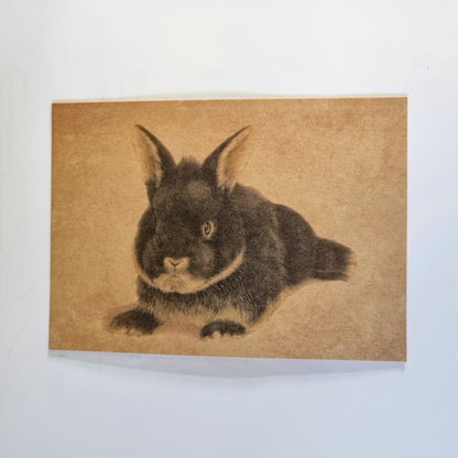 Kraftkaart A6 formaat (ansichtkaart) - kaart nummer 12 - Konijn (per 5 stuks)