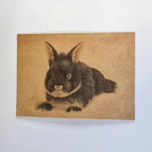 Kraftkaart A6 formaat (ansichtkaart) - kaart nummer 12 - Konijn (per 5 stuks)