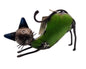 Blikken beeld van (krolse) kat