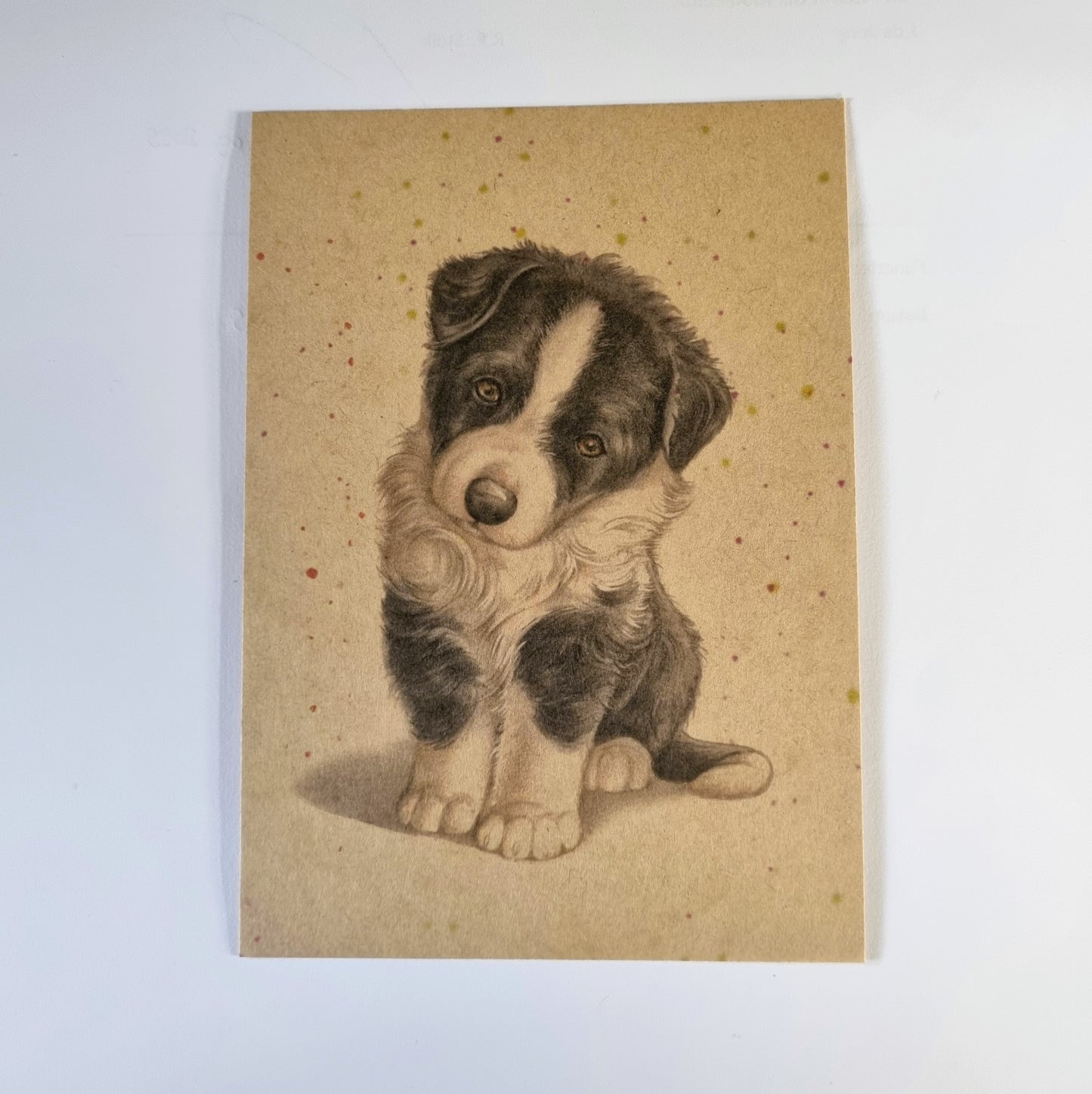 Kraftkaart A6 formaat (ansichtkaart) - kaart nummer 1 - Border Collie (per 5 stuks)