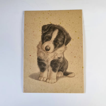 Kraftkaart A6 formaat (ansichtkaart) - kaart nummer 1 - Border Collie (per 5 stuks)