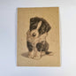 Kraftkaart A6 formaat (ansichtkaart) - kaart nummer 1 - Border Collie