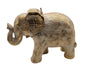 Bild Elefant