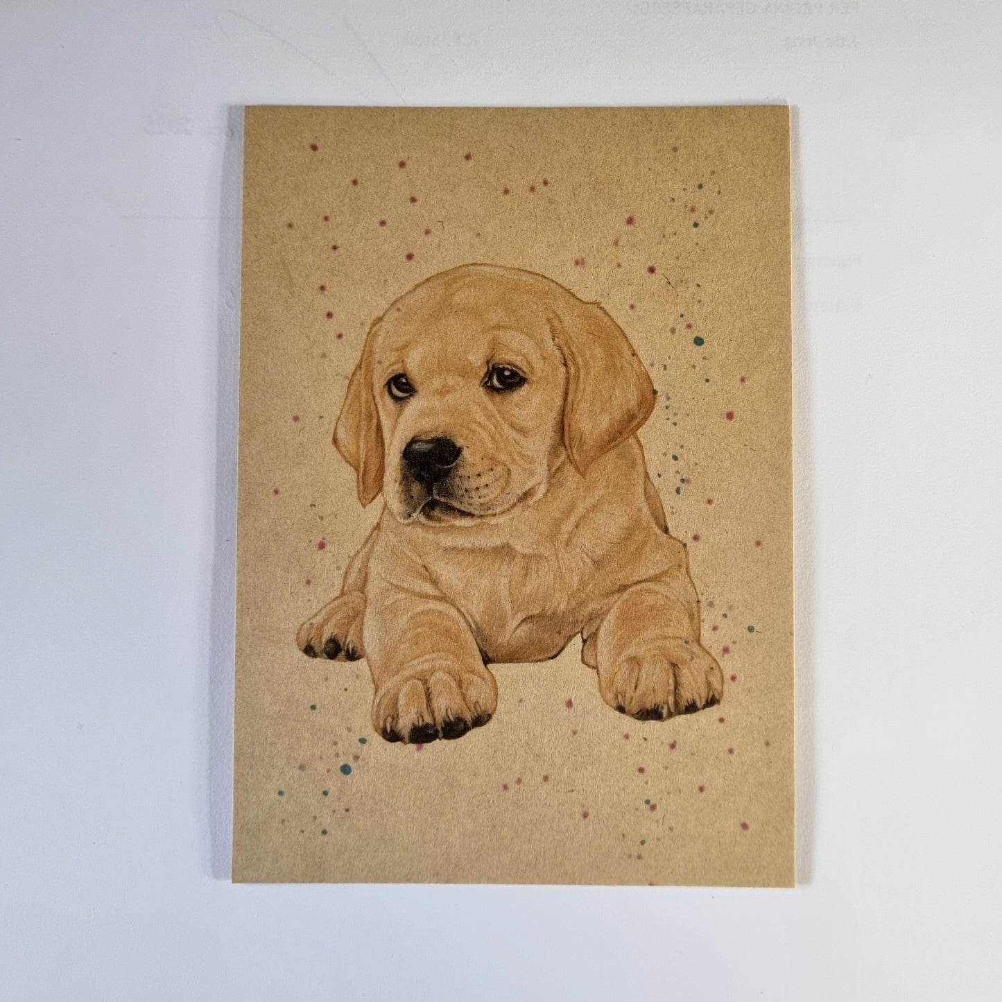 Kraftkaart A6 formaat (ansichtkaart) - kaart nummer 2 - Blonde Labrador (per 5 stuks)