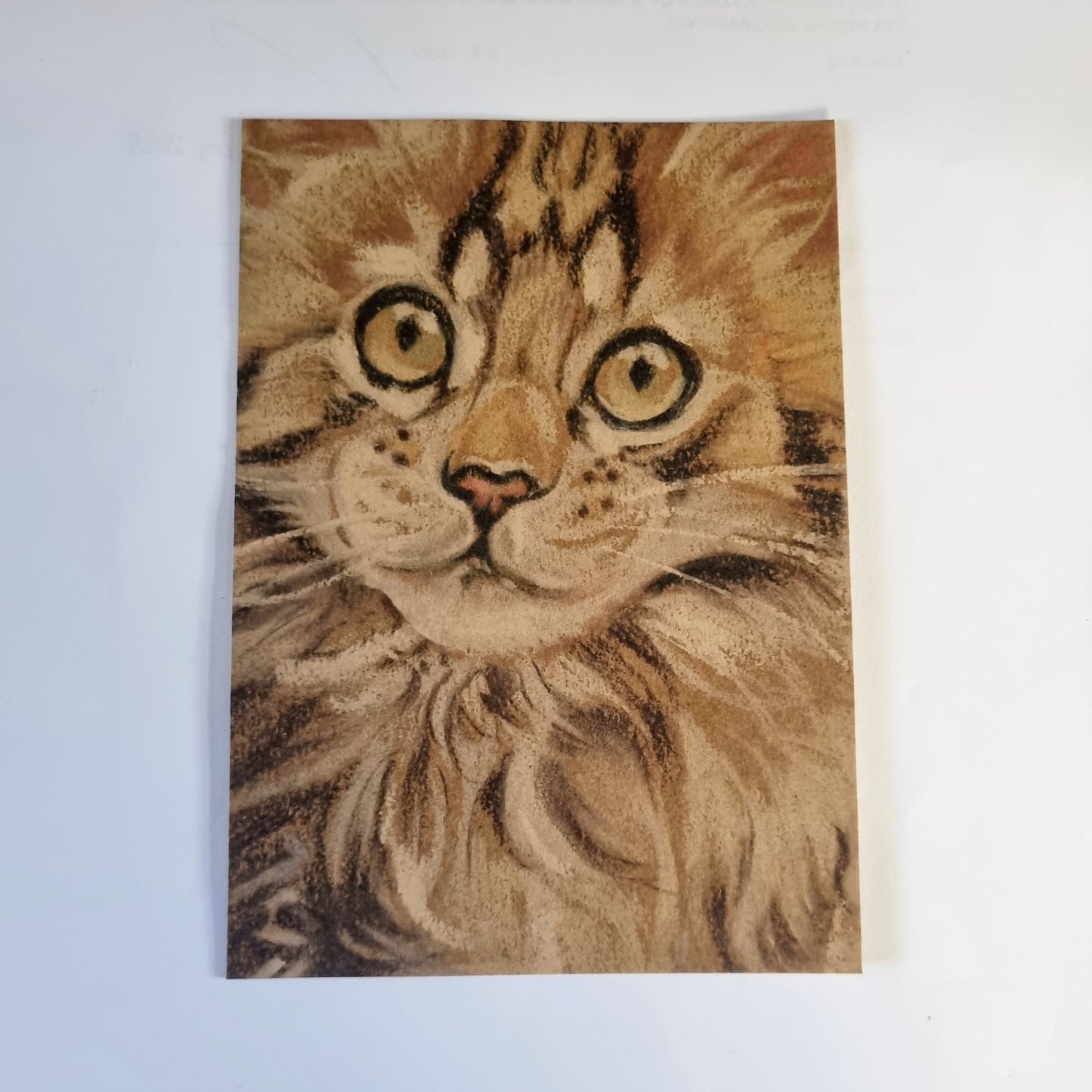 Kraftkaart A6 formaat (ansichtkaart) - kaart nummer 21 - Maine Coon (per 5 stuks)