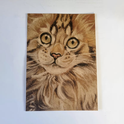Kraftkaart A6 formaat (ansichtkaart) - kaart nummer 21 - Maine Coon (per 5 stuks)