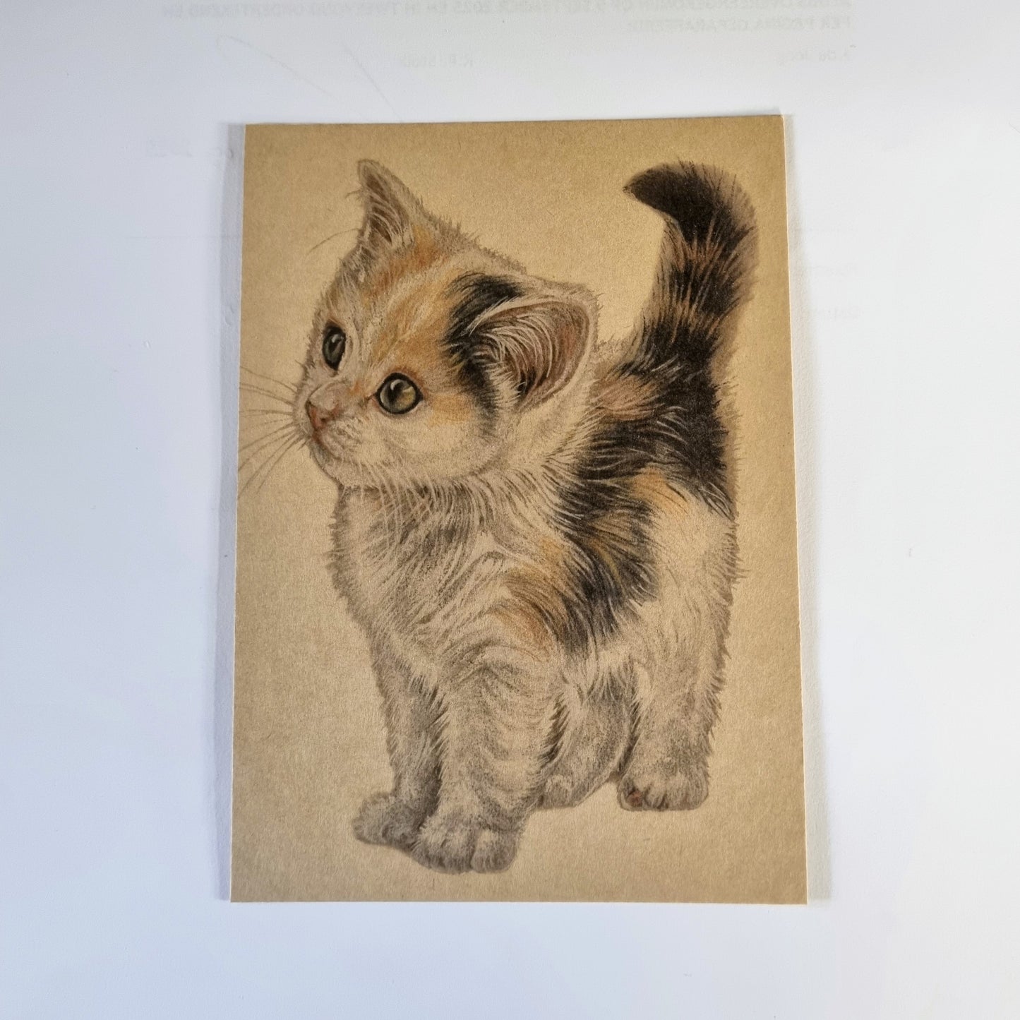 Kraftkaart A6 formaat (ansichtkaart) - kaart nummer 11 - Kitten (per 5 stuks)
