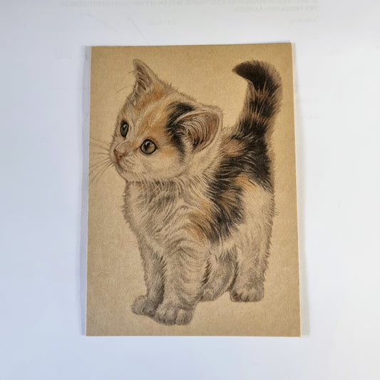 Kraftkaart A6 formaat (ansichtkaart) - kaart nummer 11 - Kitten (per 5 stuks)