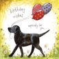 Alex Clark - Sparkle Cards 29