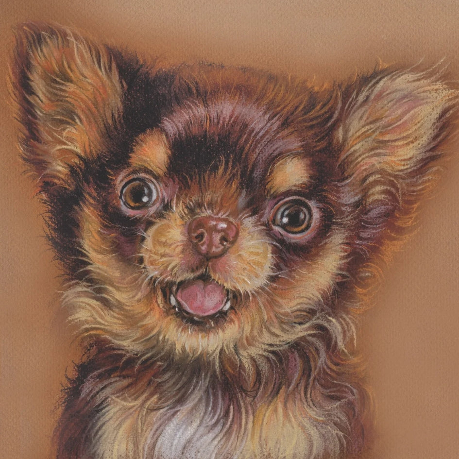 Katoenen winkel/bigshopper - Chihuahua