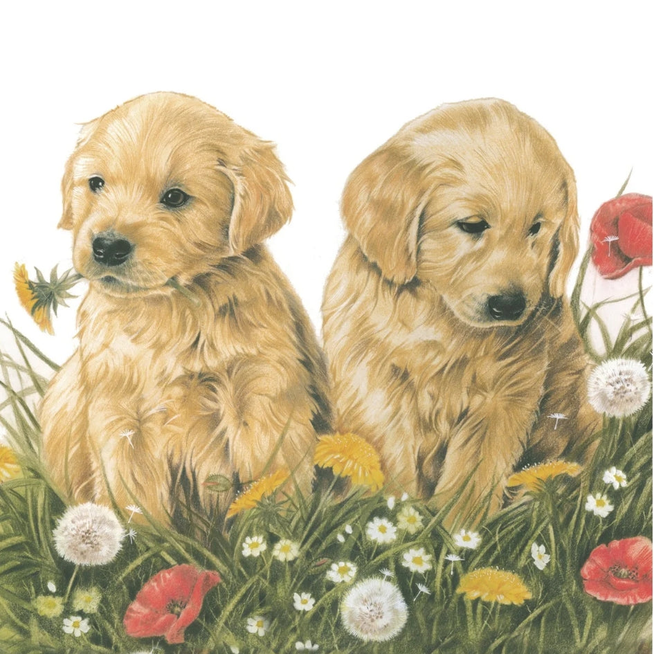 Katoenen winkel/bigshopper - Golden Retriever pups