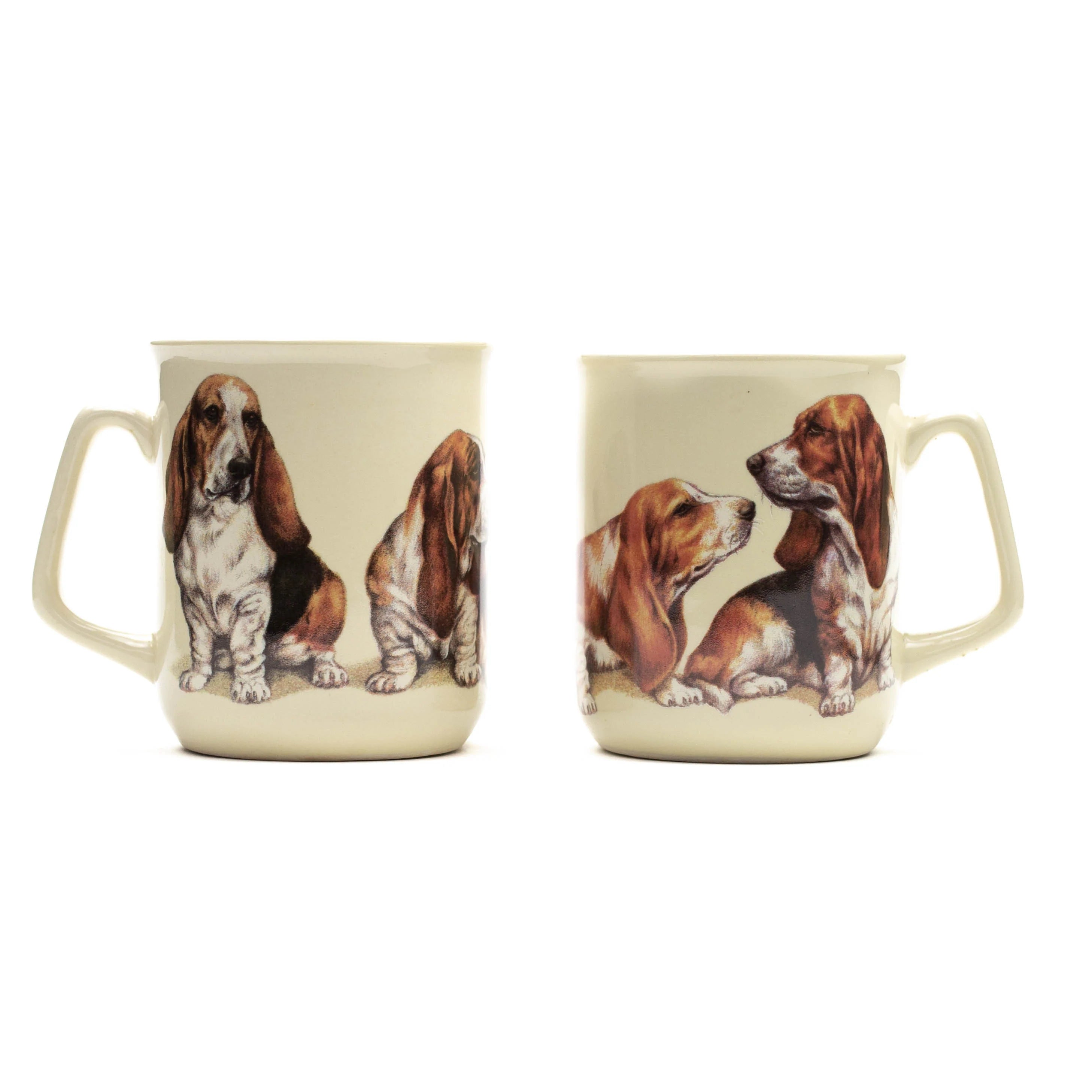 Mok Basset Hound