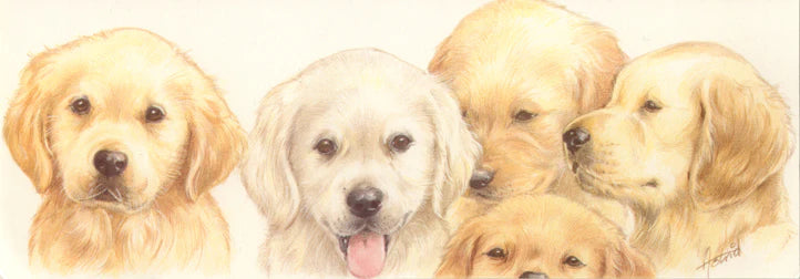 Smalle kaarten - Golden Retriever - per 5 stuks