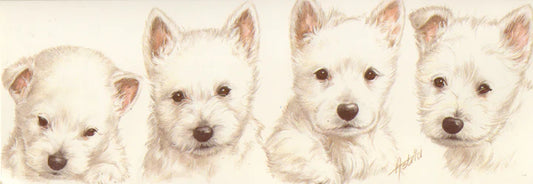 Smalle kaarten - West Highland White Terrier - per 5 stuks