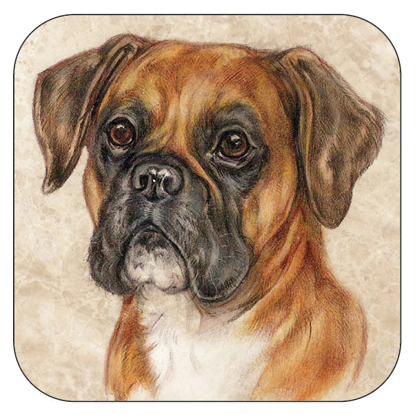 Coaster per 3 pieces Boxer