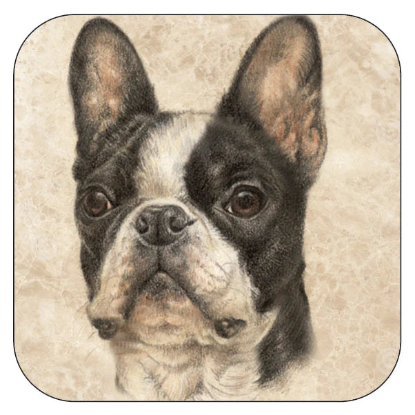 Coaster per 3 pieces French Bulldog