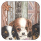 Onderzetter per 3 stuks Cavalier King Charles Spaniels