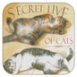 Onderzetter per 3 stuks Secret Live of Cats 3