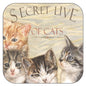 Untersetzer pro 3 Stück Secret Live of Cats 4