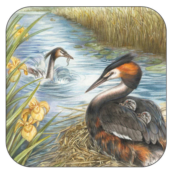 Coaster per 3 pieces Grebe