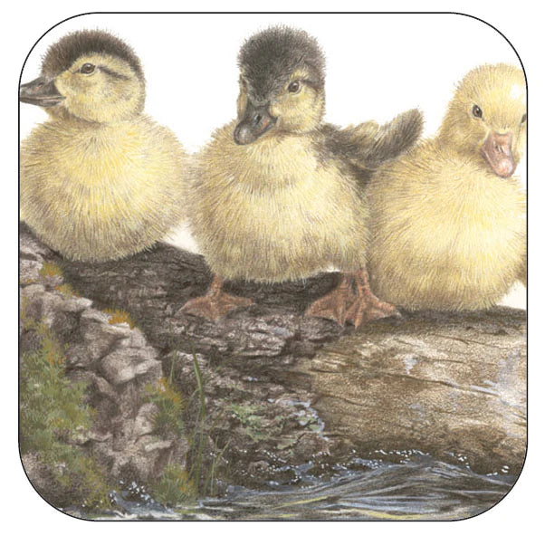 Coaster per 3 pieces Ducks along the side